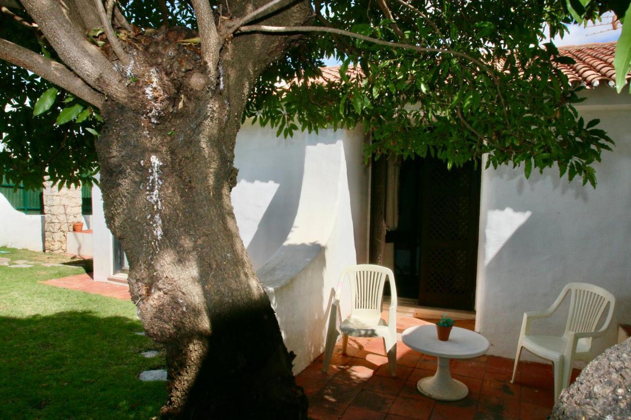 Villa Jacaranda - 550M From The Beach - Free Wifi - By Bedzy Albufeira Zewnętrze zdjęcie